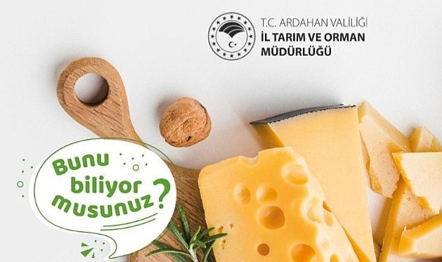Ardahan'da kaşar peyniri denetimleri artırıldı