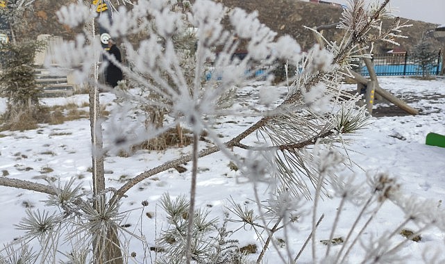 Ardahan'da Sibirya soğukları