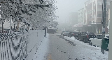 Kırağı ve sis kartpostallık görüntüler oluşturdu