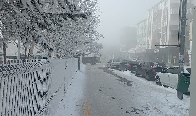 Kırağı ve sis kartpostallık görüntüler oluşturdu