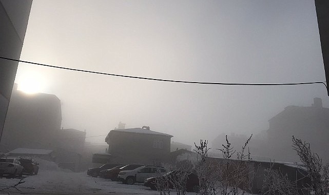 Ardahan'da yoğun sis etkili oldu