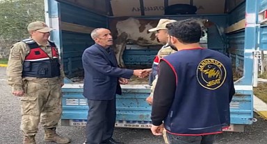 Ardahan Jandarma’dan 2024’te hırsızlıkla mücadelede büyük başarı