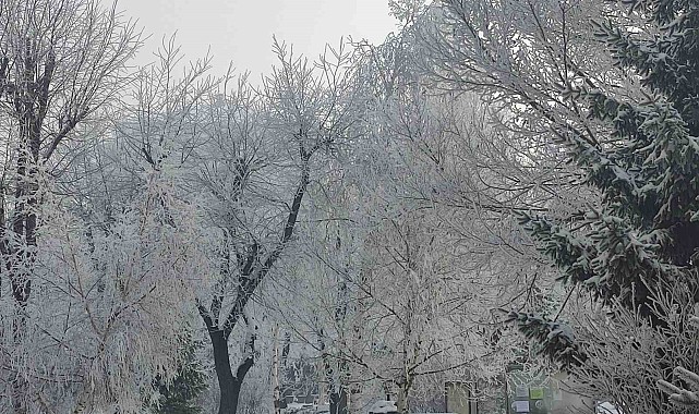 Ardahan'da Sibirya soğukları: Göle eksi 19