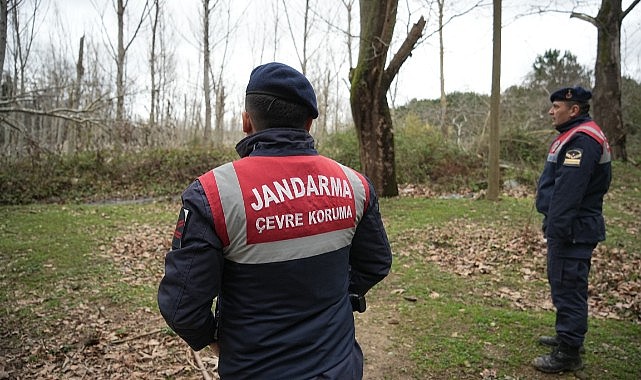 Ayı firarda...Milli parklar ve bölge sakinleri alarmda