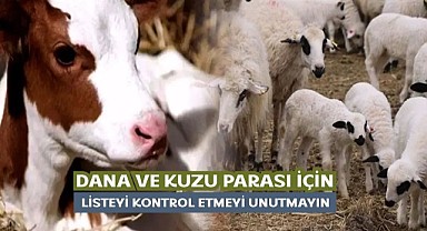 Buzağı destek listeleri askıya çıktı