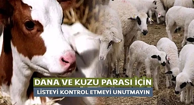 Buzağı destek listeleri askıya çıktı