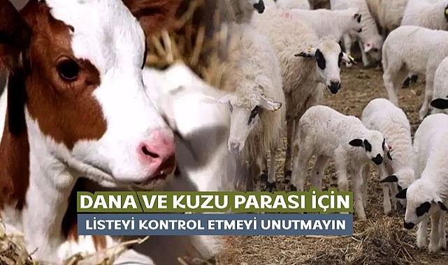 Buzağı destek listeleri askıya çıktı
