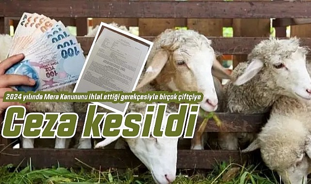 Çiftçinin başı ‘Mera Komisyonu’yla dertte!