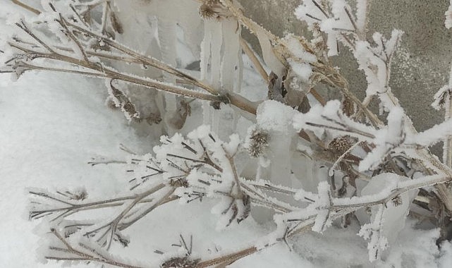 Dondurucu soğuklar devam ediyor, Göle eksi 31,5 derece