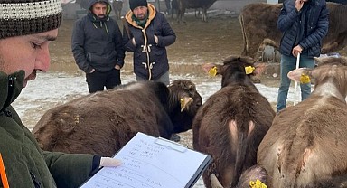 Ekipler Göle Hayvan Pazarını denetledi