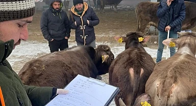 Ekipler Göle Hayvan Pazarını denetledi