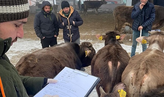 Ekipler Göle Hayvan Pazarını denetledi