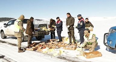 Hayvanlar için doğaya yem bırakıldı