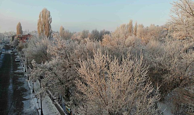 Kars adeta buz kesti