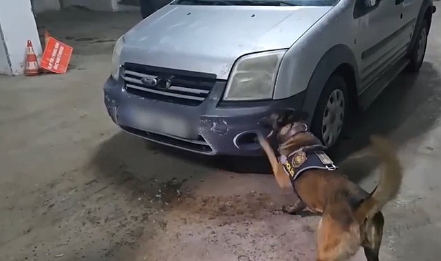 Kars'ta uyuşturucu narkotik köpeği Şila'ya takıldı
