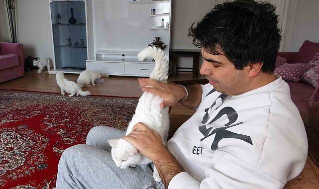 Van kedilerinin neslini kurtarmak için evinin kapılarını açtı