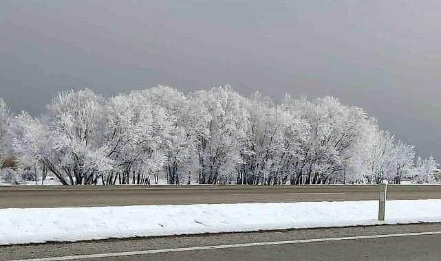 Van'da kırağı ve sis kartpostallık görüntüler oluşturdu