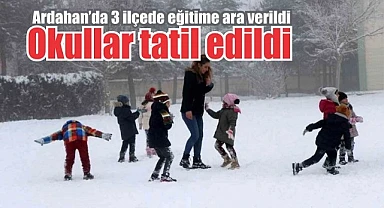 Ardahan’da 3 ilçede okullar tatil edildi