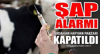 Ardahan’da şap alarmı! Hayvan pazarı kapatıldı