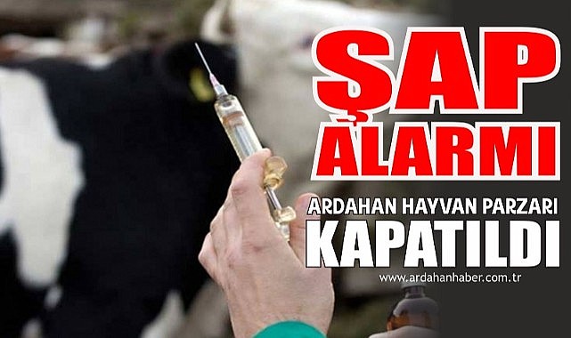 Ardahan’da şap alarmı! Hayvan pazarı kapatıldı