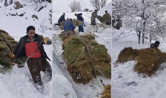 Çiftçilerin zorlu kış mesaisi: 3 bin rakımdan otları kızaklarla indirdiler