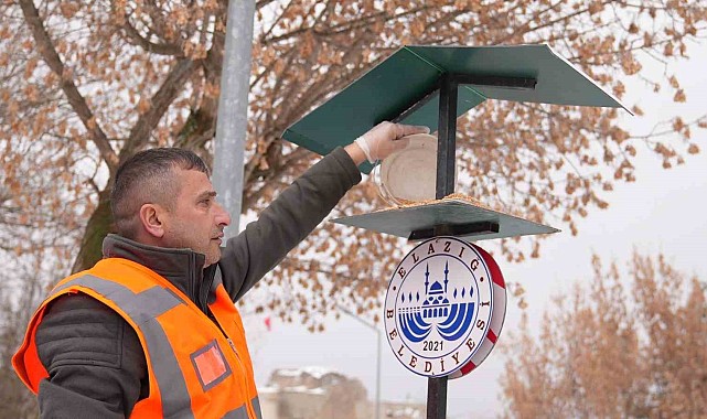 Elazığ'da yaban ve sokak hayvanlarına mama desteği