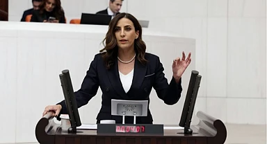 "Evrim Rızvanoğlu: Hükümet, İstanbul Belediyesi ile İş Birliği Yapmalı"