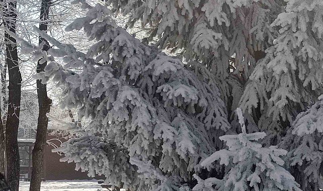 Göle'de hava eksi 27,7 derece: Araçlar soğuktan çalışmadı