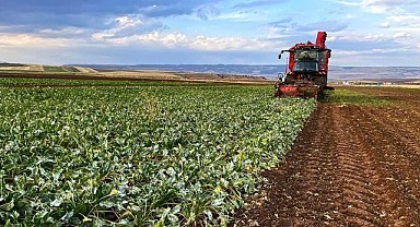 Kırsal kalkınma hibe desteği başvuruları başlıyor