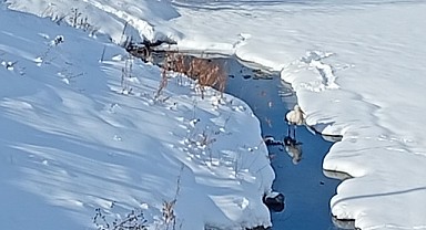 Mevsimleri karıştıran leylek, karla karşılaştı