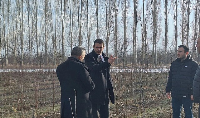 Meyve fidanları baharın gelmesiyle çiftçilerle buluşturulacak