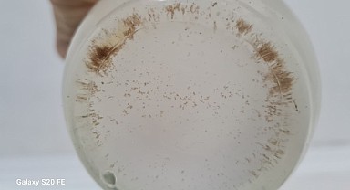 Vatandaşlar çamurlu suyun çözülmesini bekliyor