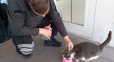 Yolunu gözleyen kediyi her sabah besliyor