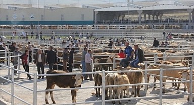 Hayvan Pazarına Bayram izni