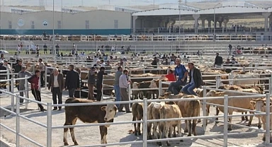 Hayvan Pazarına Bayram izni
