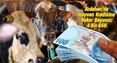 Hayvancılık projesine rekor başvuru