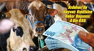 Hayvancılık projesine rekor başvuru