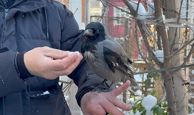 Karganın kar banyosu keyfi: "Bir tek şampuanı eksik"