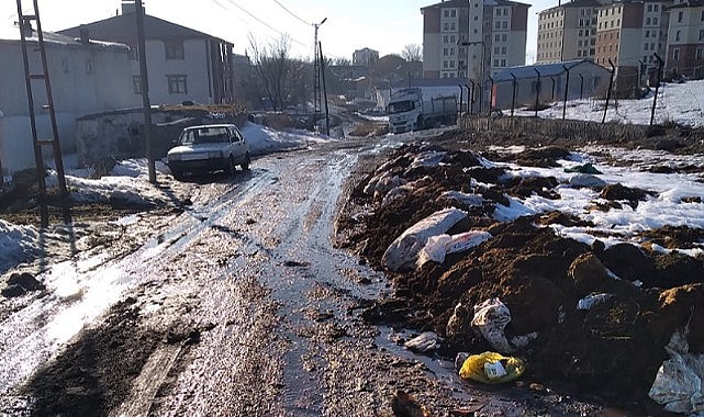 Karlar eridi belediyenin çöpleri ortaya çıktı