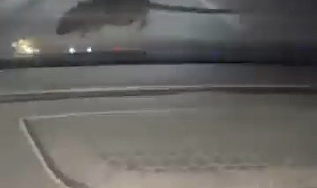 Seyir halindeki otomobilin ön camına 'fare' kondu