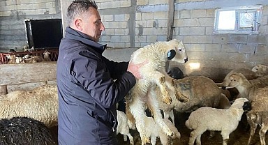 Tarım Müdürü Cineviz Ardıçdere’yi ziyaret etti