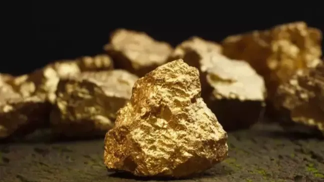 Arazisinden 150 ton altın çıkan çiftçi 1 kuruş alamayacak