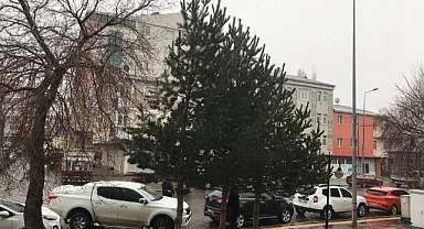 Baharı beklerken kara kış geldi