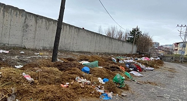 Bolu'da yola izmarit atmak bile yasakken Ardahan'da; Yola gübre dökmek serbest