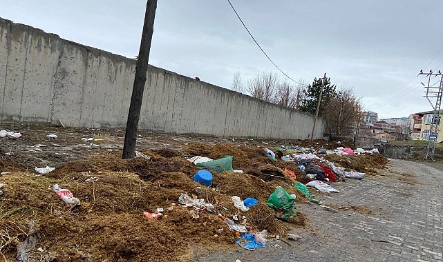 Bolu'da yola izmarit atmak bile yasakken Ardahan'da; Yola gübre dökmek serbest