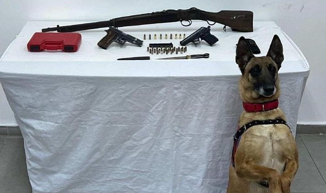 Bomba arama köpeği Yazı yine yakaladı
