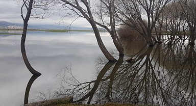 Doğanın kalbi Ardahan’da atıyor
