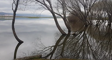 Doğanın kalbi Ardahan’da atıyor