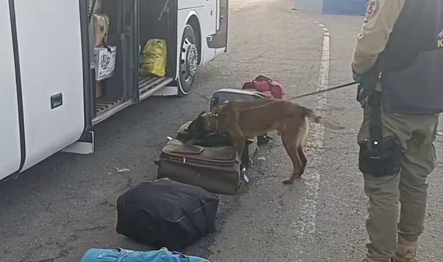 Erzurum'da narko operasyon