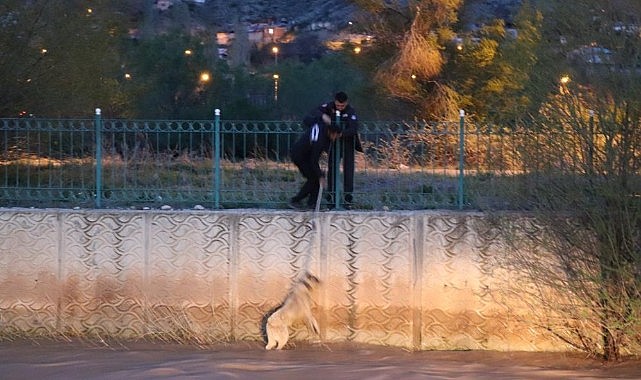 Erzurum'da sokak köpeğine kurtarma operasyonu